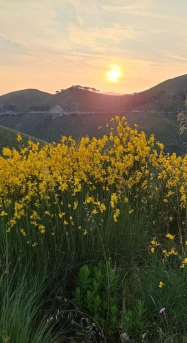 Chalet Mimosa Βίλα Itri Εξωτερικό φωτογραφία